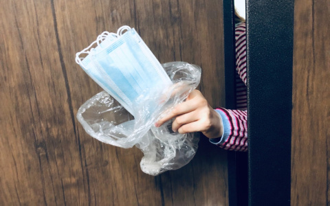 Африканская чума может появиться в Нижегородской области