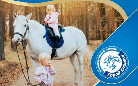 «День лошади» пройдет в Дзержинске в девятый раз