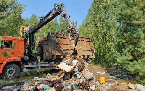 Почти 10 тысяч кубометров несанкционированных свалок вывезено с территории городского округа Дзержинск на сегодняшний день