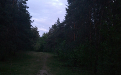 МЧС предупреждает жителей Нижегородской области о гроза и сильном ветре 30 и 31 мая