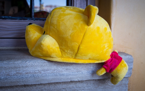 Тест дня: узнайте свой психотип по Винни-Пуху