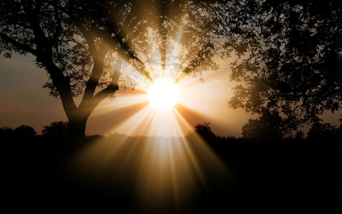 Жителей Нижегородской области ожидает 33 градусная жара