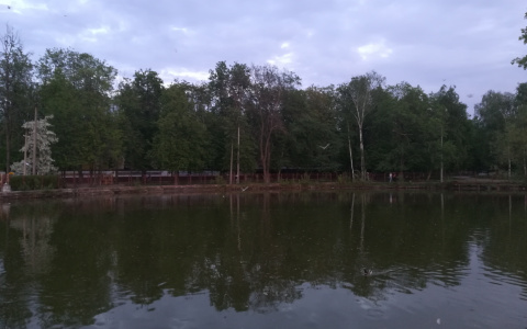 Небольшое похолодание ждет дзержинцев в середине рабочей недели