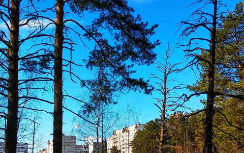 Нижегородцы предпочитают отдыхать в Дзержинске