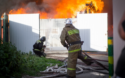 В Дзержинске начал действовать запрет на посещение лесов