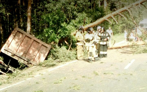 Груженый КамАЗ перевернулся в кювет в Решетихе (ФОТО)
