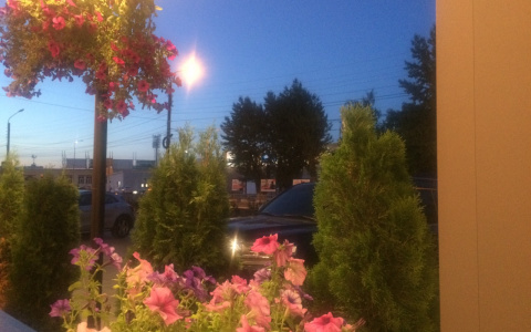 Фестиваль «Город молодежи» пройдет в Дзержинске