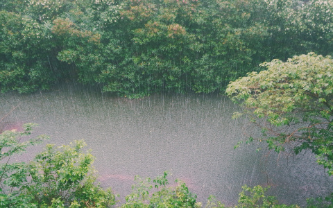 Ливни накроют Нижегородскую область в ночь на 8 июля