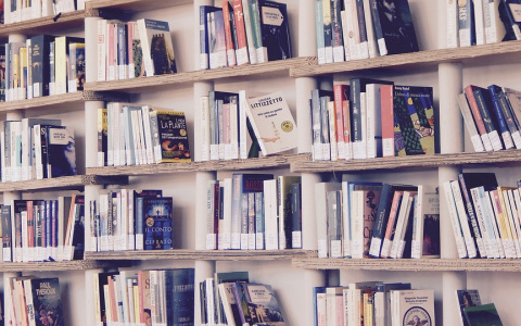 Жителям Дзержинска начали бесплатно раздавать книги