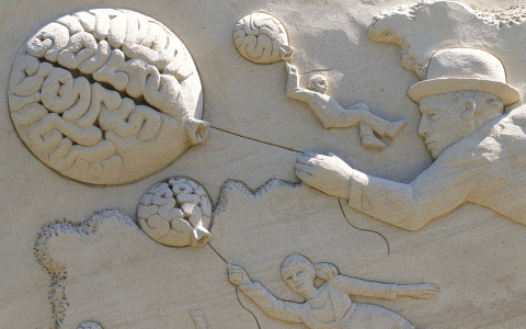 Самый быстрый тест на айкью