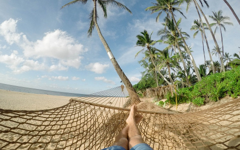 Названы небезопасные для здоровья российских детей страны