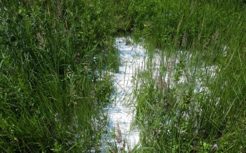 В Дзержинске поймали человека, который сливал непонятные отходы