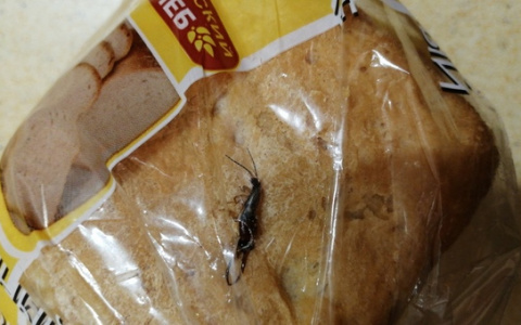 Жители Дзержинска купили хлеб с сюрпризом