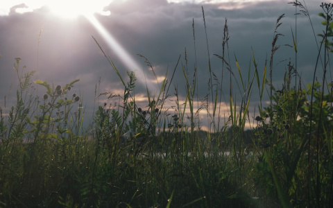 Летняя осень пришла в Нижегородскую область