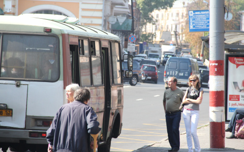 Жители Дзержинска теперь сами могут отслеживать общественный транспорт
