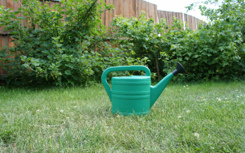 То в жару, то в холод: летняя жара вернется в Поволжье