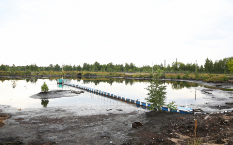 40 миллионов рублей выделили на исследования свалок экологического вреда