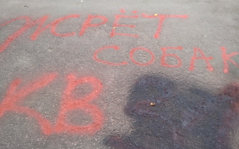 Нижегородке, которая хотела «вылечить» мужа собачьим мясом, устроили травлю