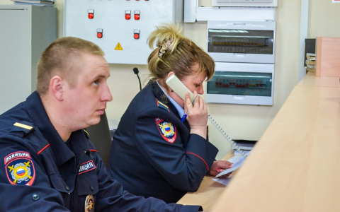 Жительница Дзержинска стащила у пьяного зеваки сумку, где было 45 тысяч рублей