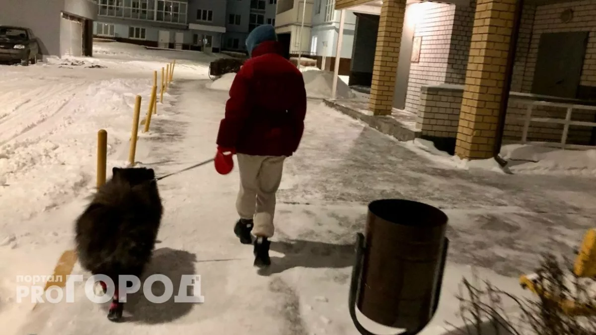 В Нижегородской области владельцев агрессивных собак будут штрафовать до 30 тысяч рублей