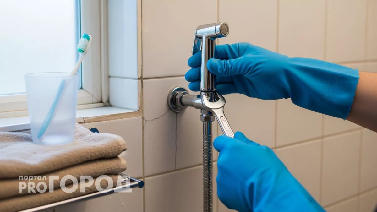 Забудьте про туалетную бумагу: весь цивилизованный мир уже перешёл на это, а мы всё ещё в каменном веке