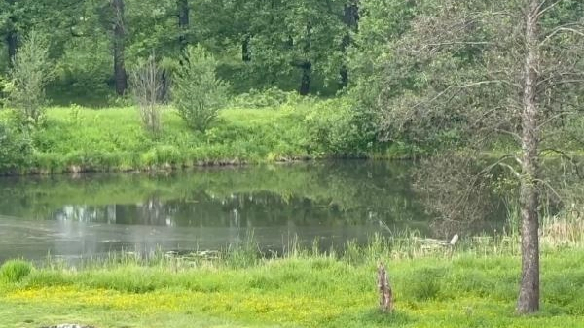 Река Совец под контролем: депутаты Дзержинска обсудят расчистку после проверки воды