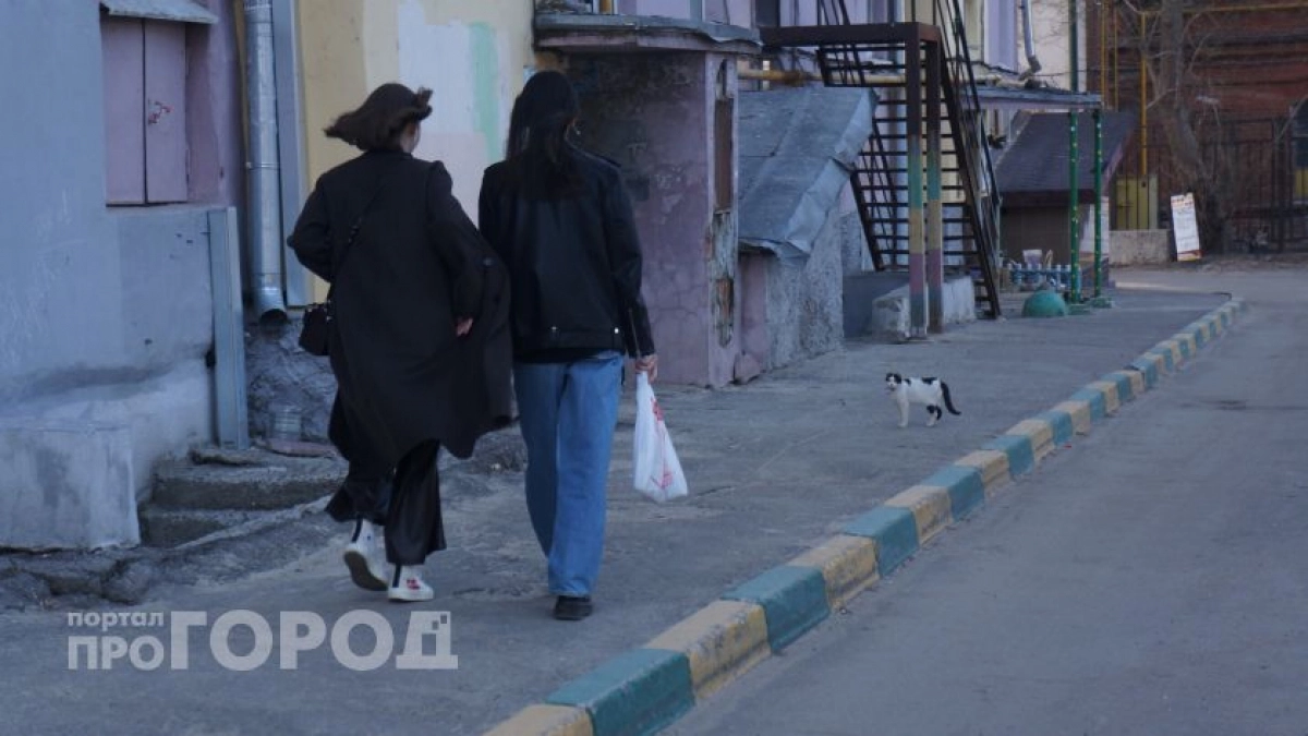 Названы самые популярные названия улиц в России: проверьте, есть ли ваша в списке