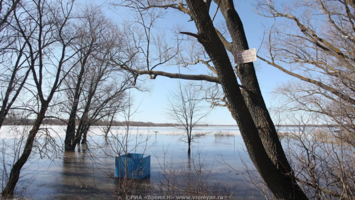 Паводок в Нижегородской области затопил три моста и 28 придомовых территорий