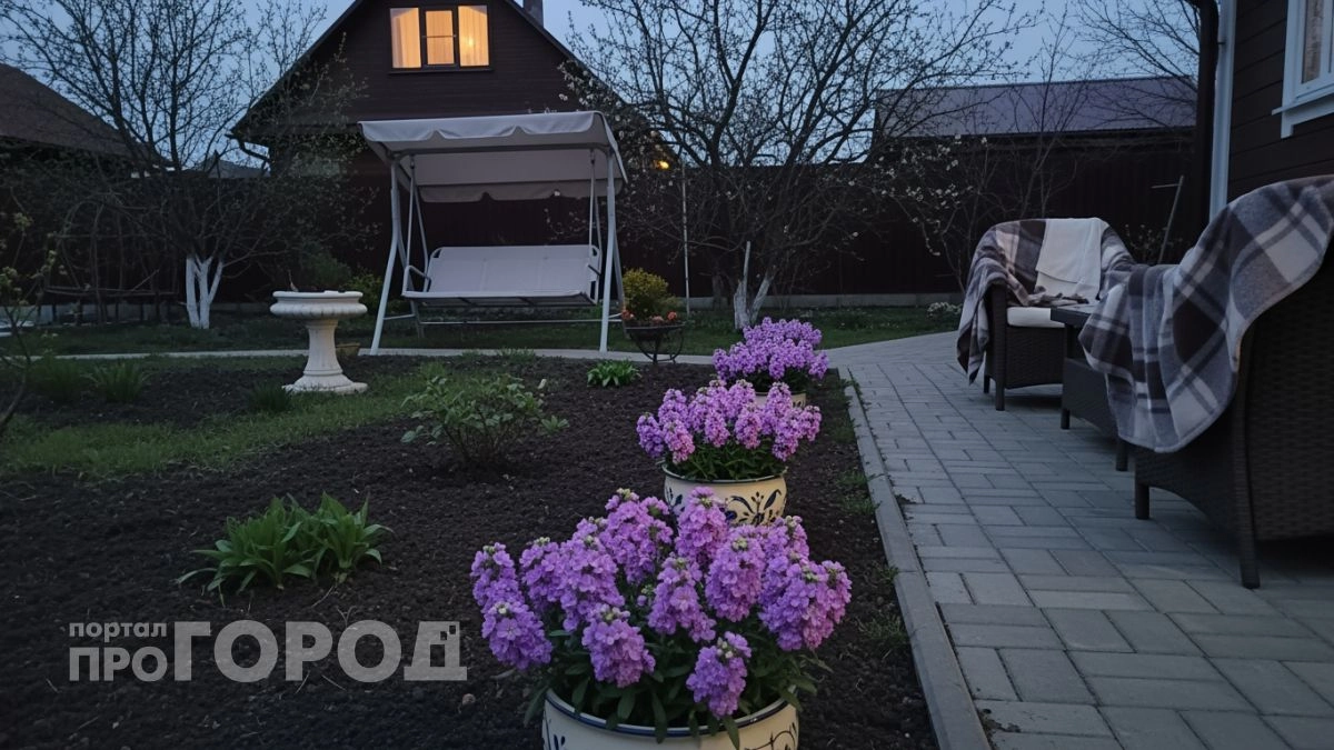 Больше не вожусь с петуниями: нашла идеальную замену, которая цветет до снега и не просит внимания