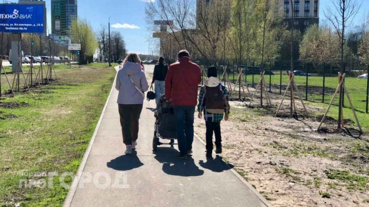 В Соцфонде рассказали, кто из нижегородцев может рассчитывать на новую семейную выплату