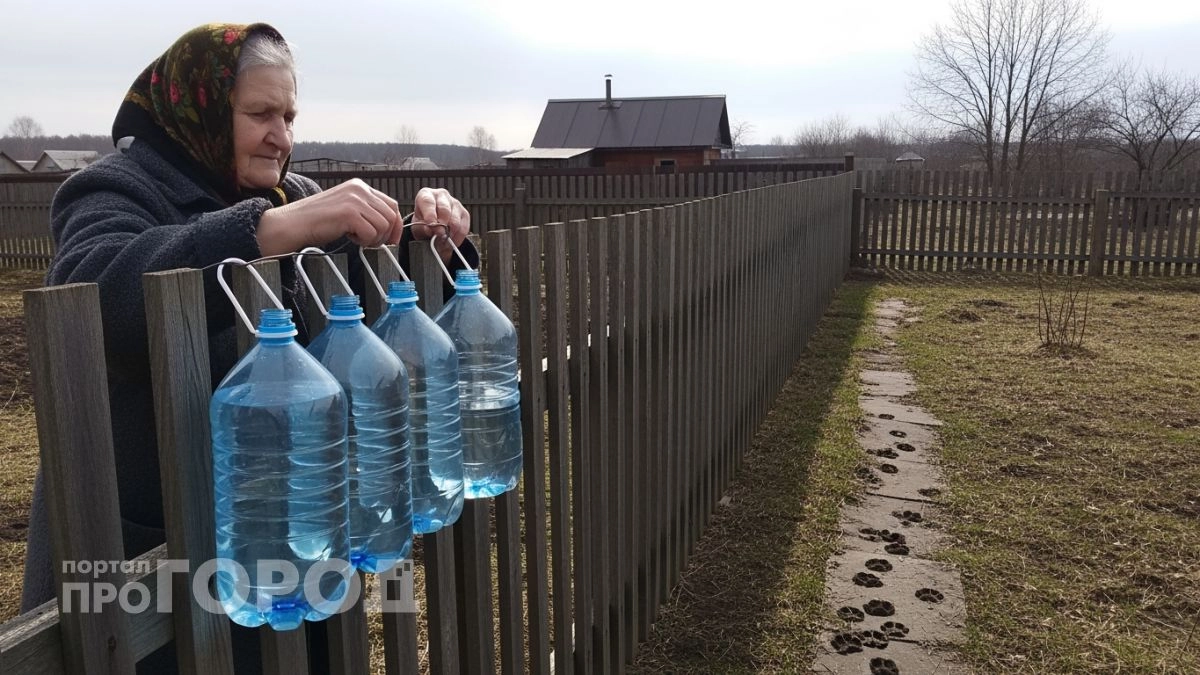 Оставила на заборе пустую пластиковую бутылку: теперь на моем участке больше нет назойливых гостей