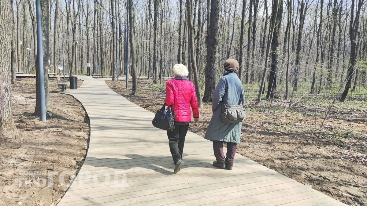 Прибавка к доходу: проверьте, не входите ли вы в список граждан, которым разрешили получать две пенсии сразу