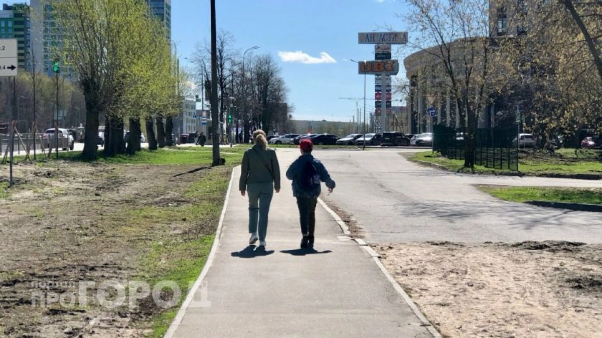 В Нижегородской области сократили пакет документов для удостоверения многодетной семьи