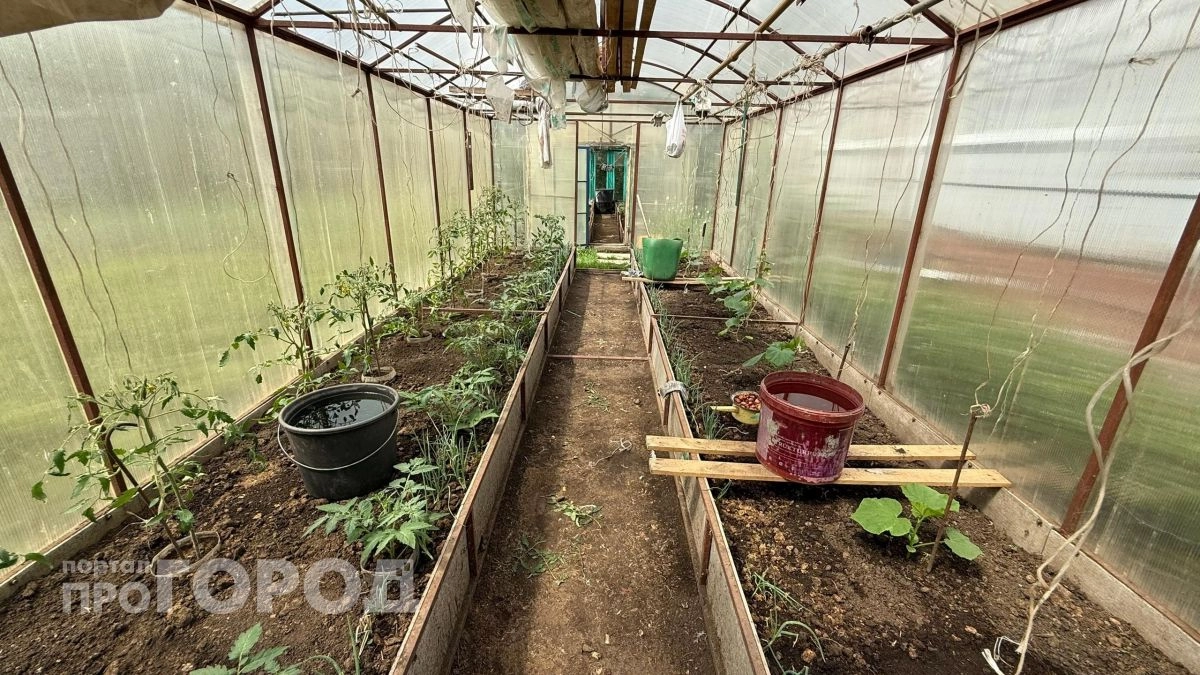 С 1 мая дачников ждут проверки теплиц: узнайте как избежать крупных штрафов и предписаний на снос участка