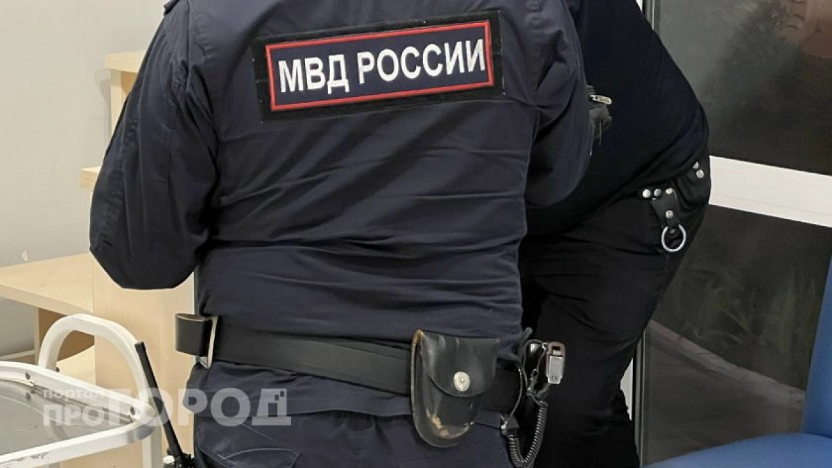 Копия сайта лишила фирму в Дзержинске 6 миллионов