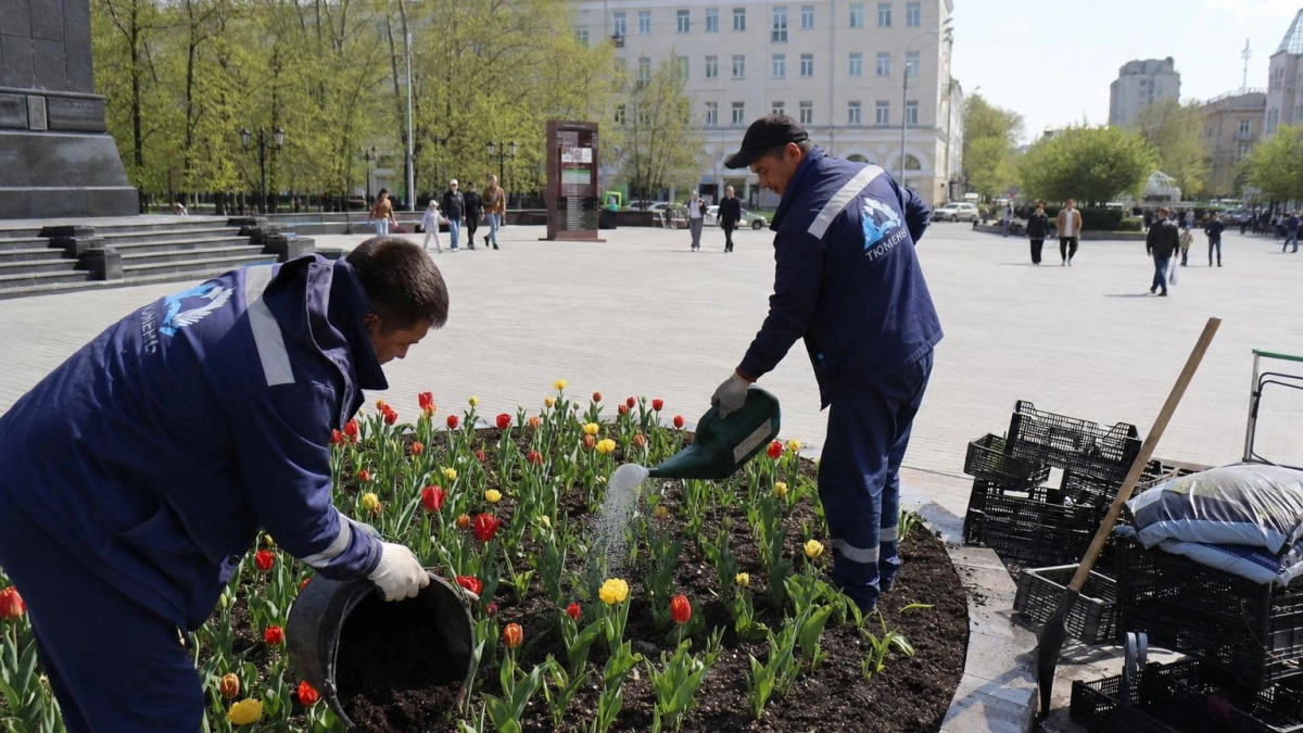 У Вечного огня в Дзержинске расцвели тысячи тюльпанов сорта «Парад»