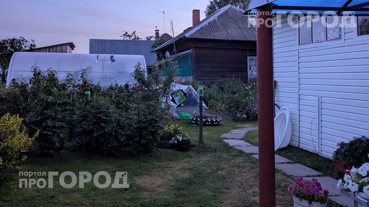 Забудьте про изнурительную прополку: эти растения сами очистят ваш участок от любого бурьяна навсегда