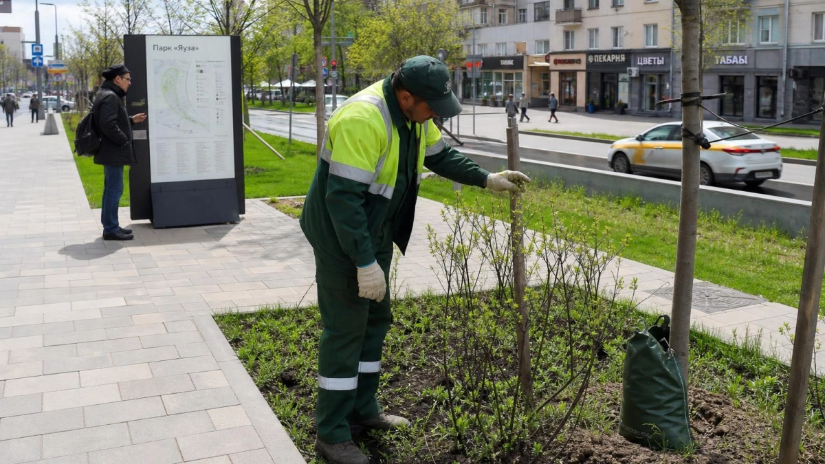 В Нижегородской области с 13 мая прогнозируется высокая пожароопасность лесов