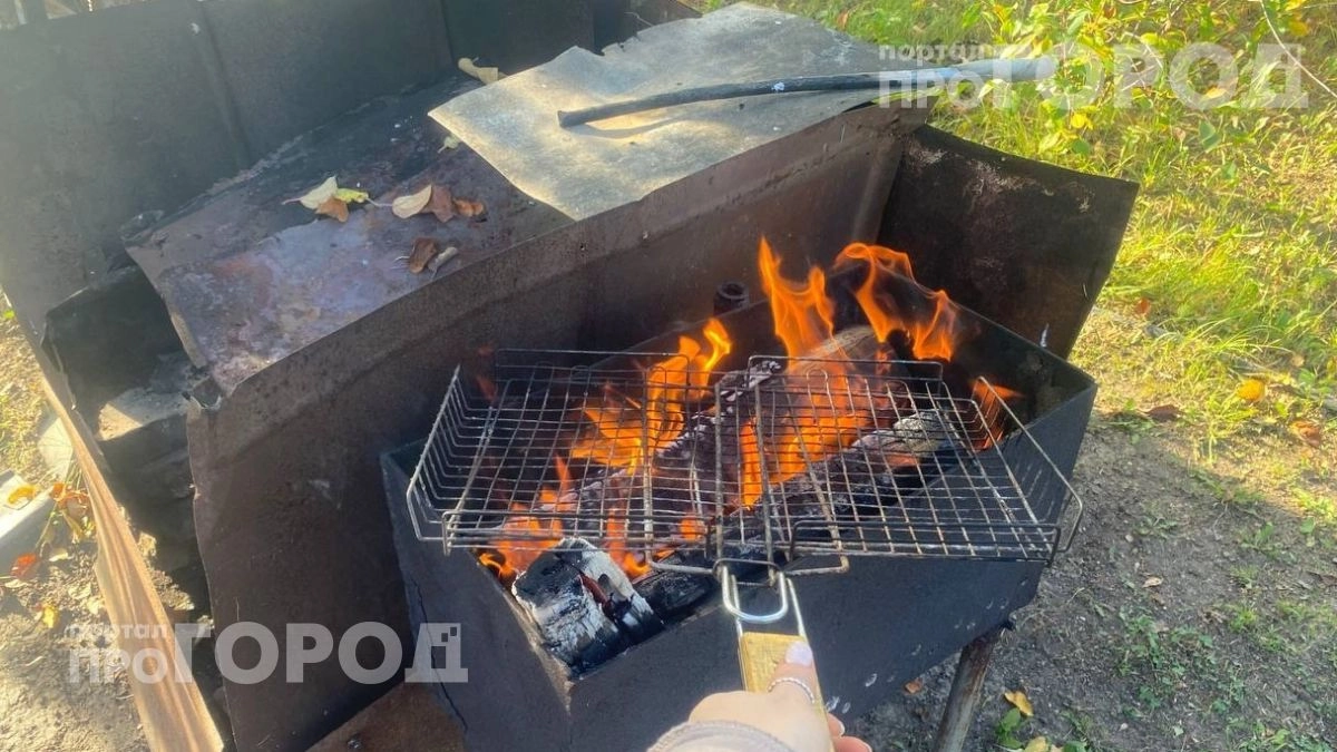 Забудьте про покупную химию: пара простых предметов из вашего дома заставит угли пылать уже через пять минут