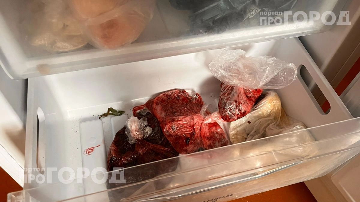 Выкиньте это из морозилки прямо сейчас: 5 привычных продуктов, которые превращаются в полную гадость