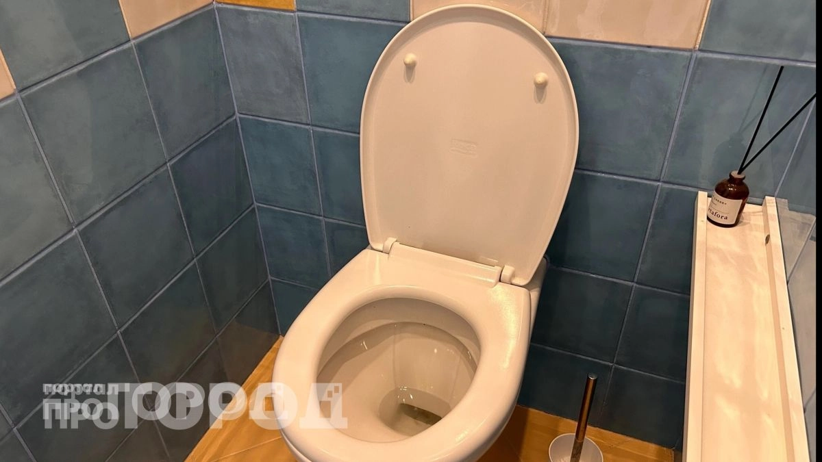 Вы совершаете эту ошибку каждый день: сантехники объяснили почему унитаз выйдет из строя из за привычки