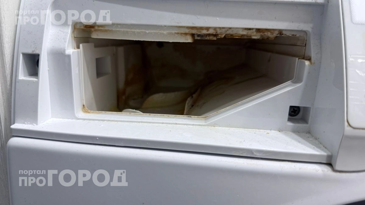 Вся грязь копится здесь: как убрать плесень из манжеты стиральной машины и забыть о неприятном запахе навсегда