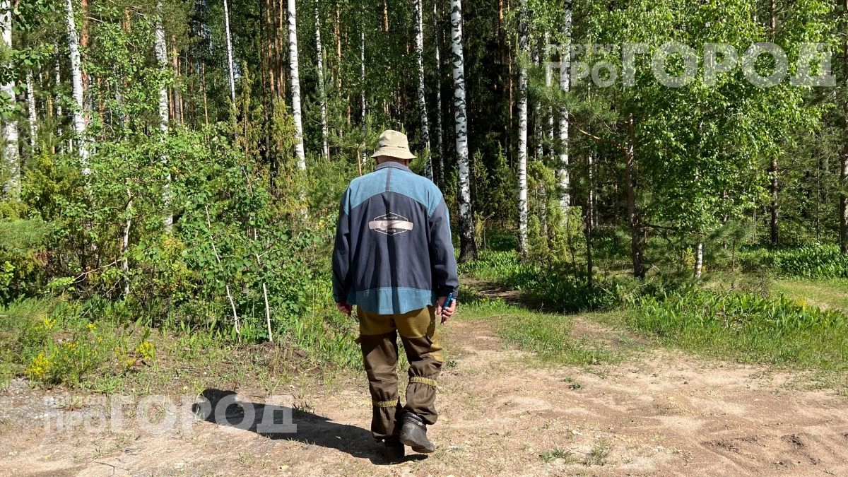 Забудьте про химию: всего две капли на одежду обеспечат надежную защиту от клещей для всей вашей семьи