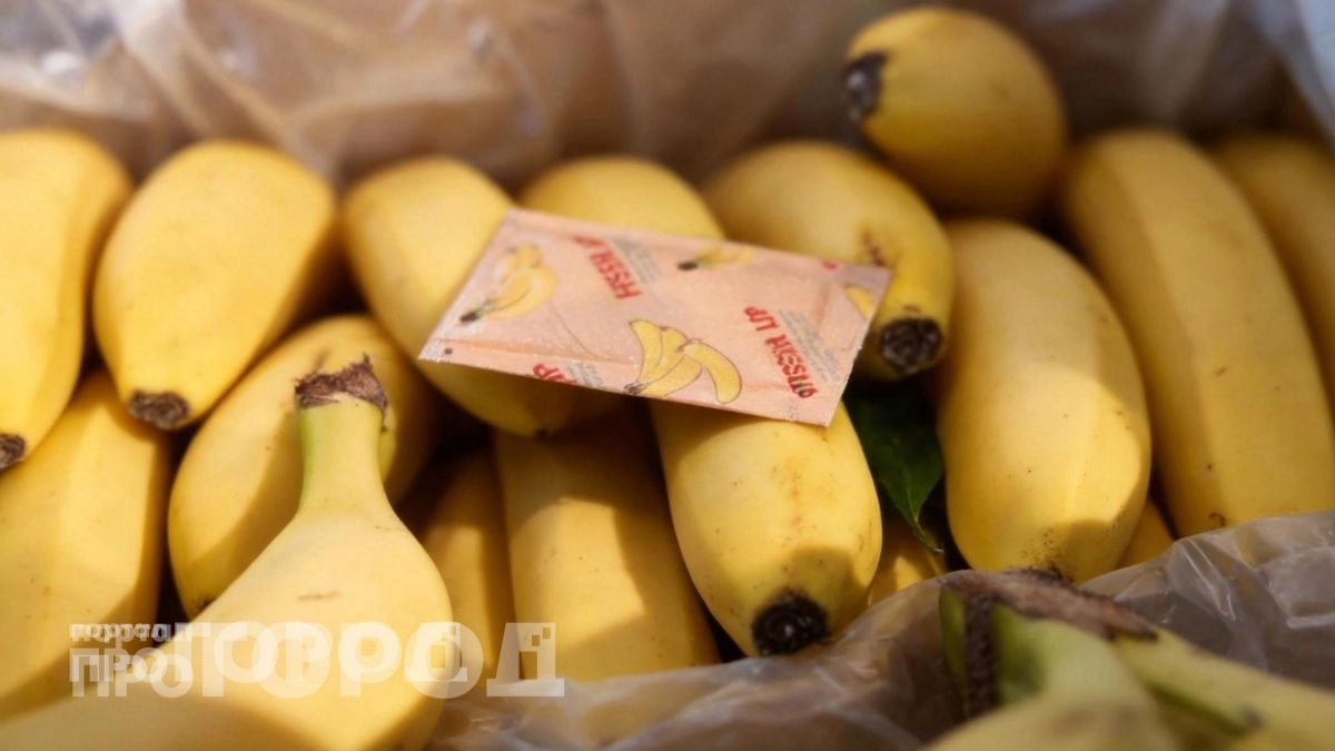 Перестала выбрасывать маленькие пакетики из коробок с бананами: теперь они экономят мне кучу денег дома