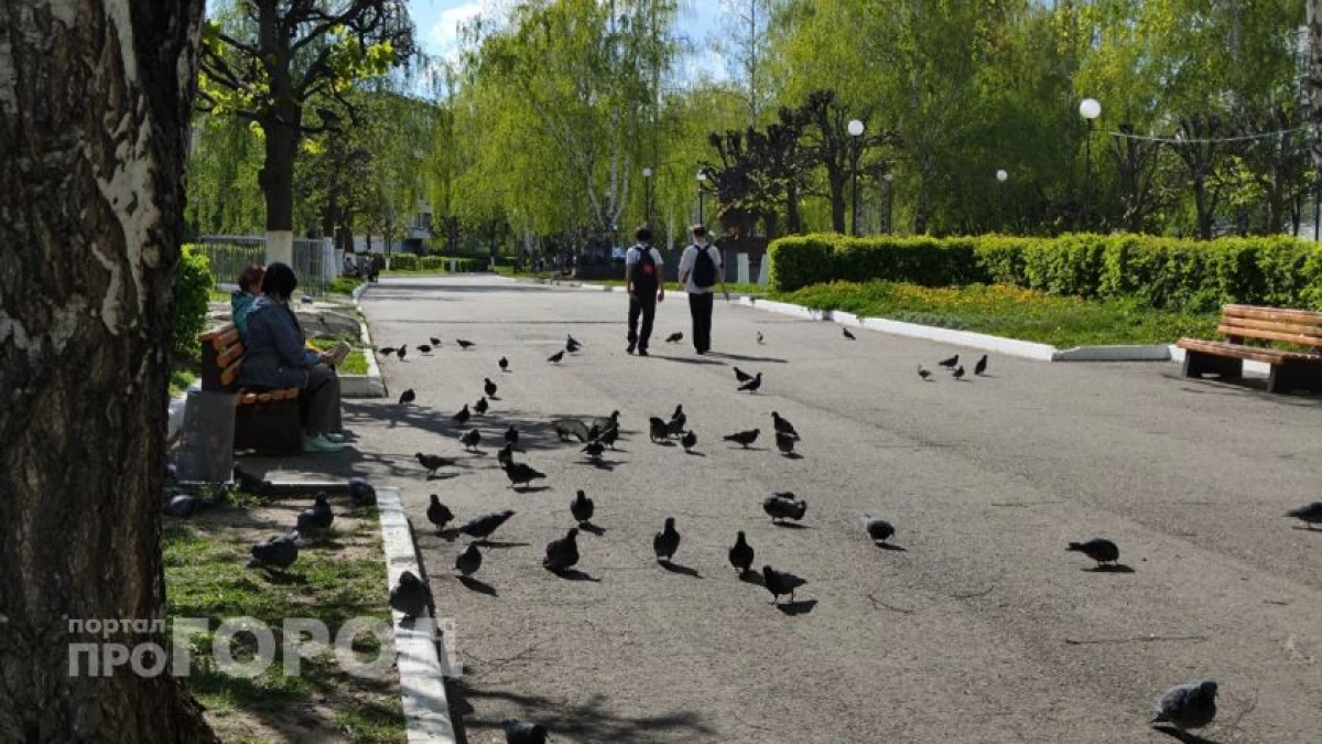 Нижегородцев предупредили о мошенниках, продающих пересдачу ЕГЭ