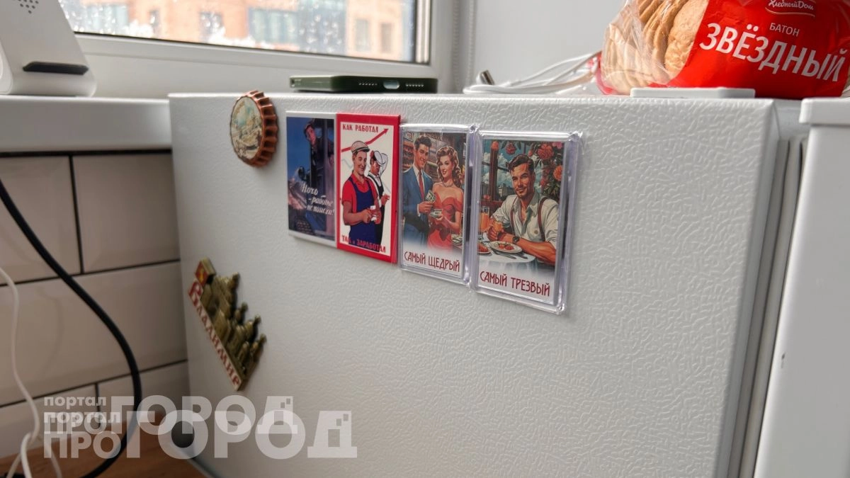 Уберите магниты с холодильника сегодня: мастера объяснили, почему из-за них техника выходит из строя