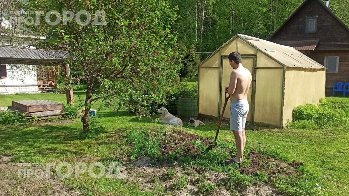 Проведите этот тест с полотенцем прямо сейчас: так вы за одну минуту узнаете о скрытых клещах на даче