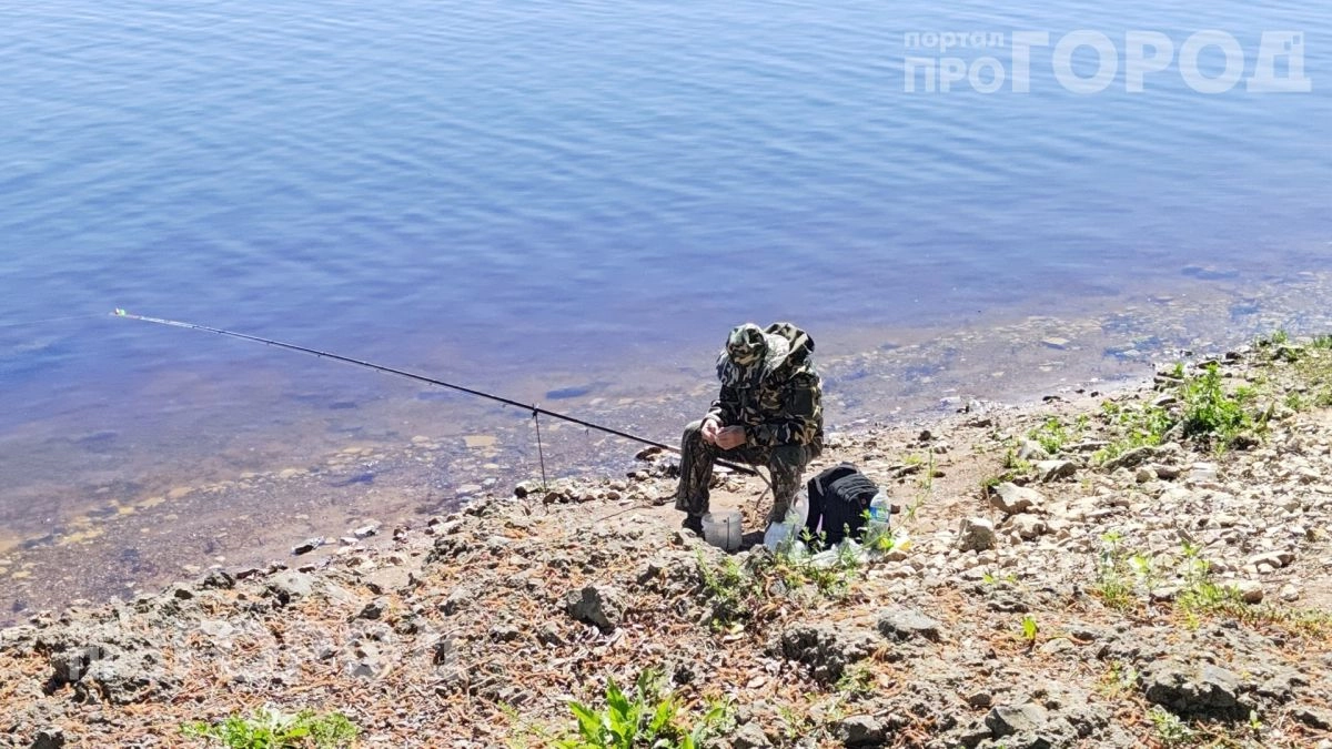 Забудьте про химию из магазинов: пара капель этого аптечного средства отпугивает комаров на целую ночь