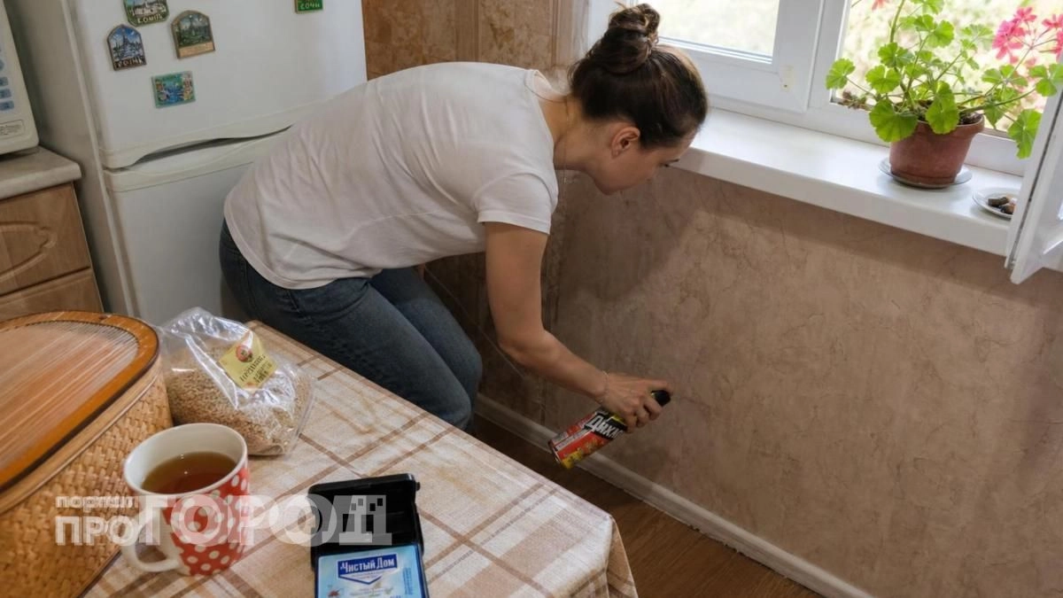 Муравьи в панике покидают дом от этого резкого запаха: просто пропитайте ватку и забудьте о насекомых навсегда