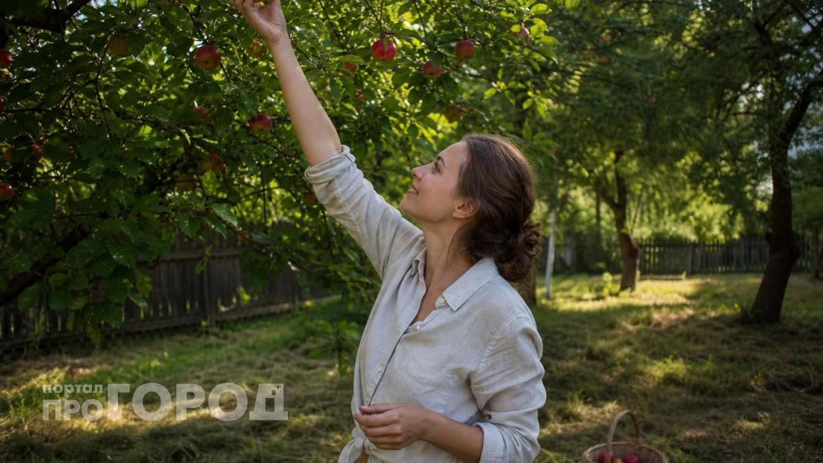 Забудьте про химикаты на яблоне: этот простой июньский прием навсегда избавит ваш сад от червивых плодов